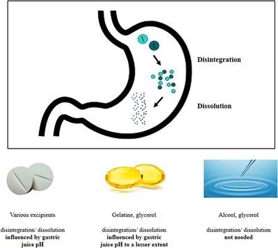 Levothyroxine Therapy in Gastric Malabsorptive Disorders